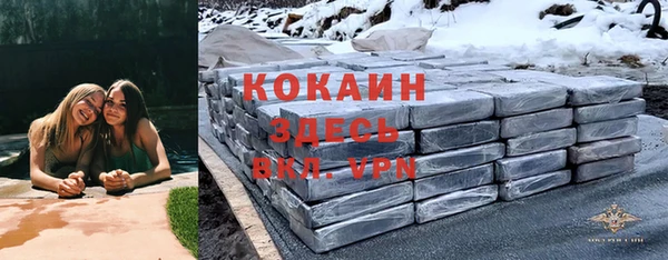 МДПВ Алзамай