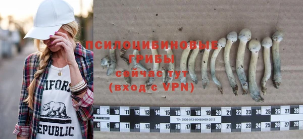 МДПВ Алзамай